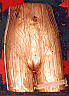 tree13.gif